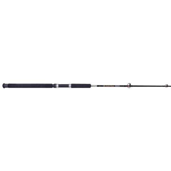 5ft boat rod