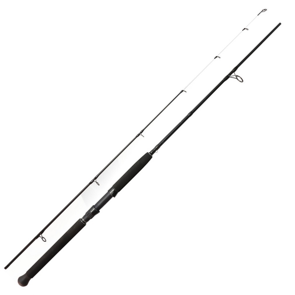 BnM Fishing® THUMP102 - Tree Thumper 10' 2-Piece Spinning Rod