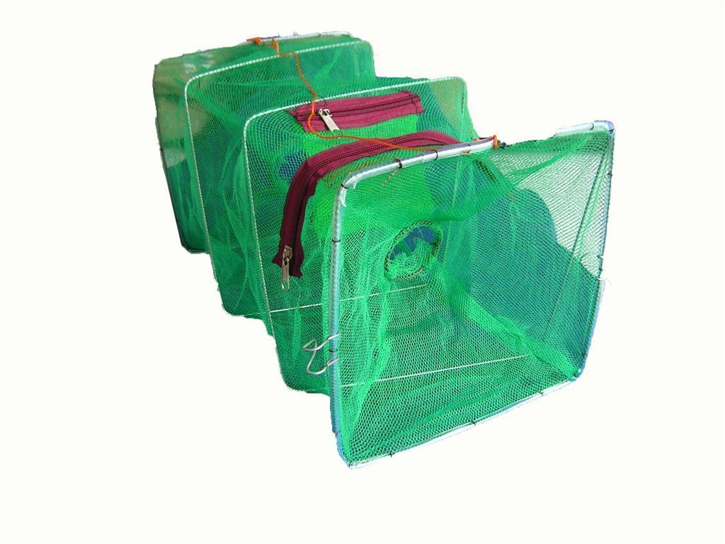 Seahorse Collapsible Shrimp/Bait Trap With 3" Entry Rings
