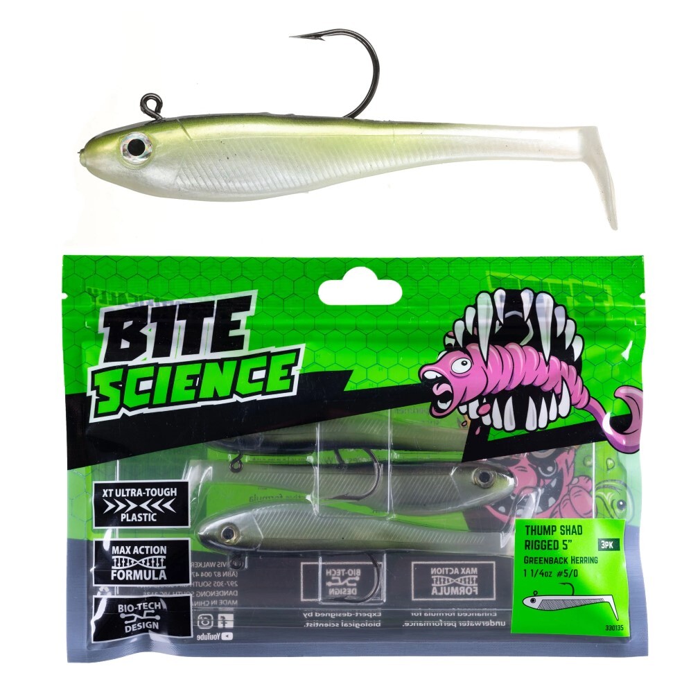 Thump Shad 3/5 Pack of 5 Fishing Lures