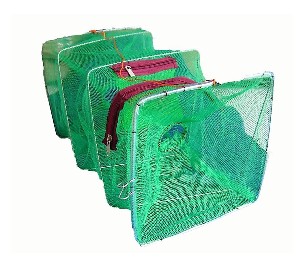 Seahorse Collapsible Shrimp/Bait Trap With 2 Entry Rings