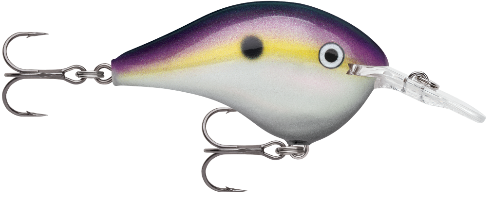 Rapala DT08 (Dives to 8ft) 5cm Crankbait Fishing Lure Colour - Big