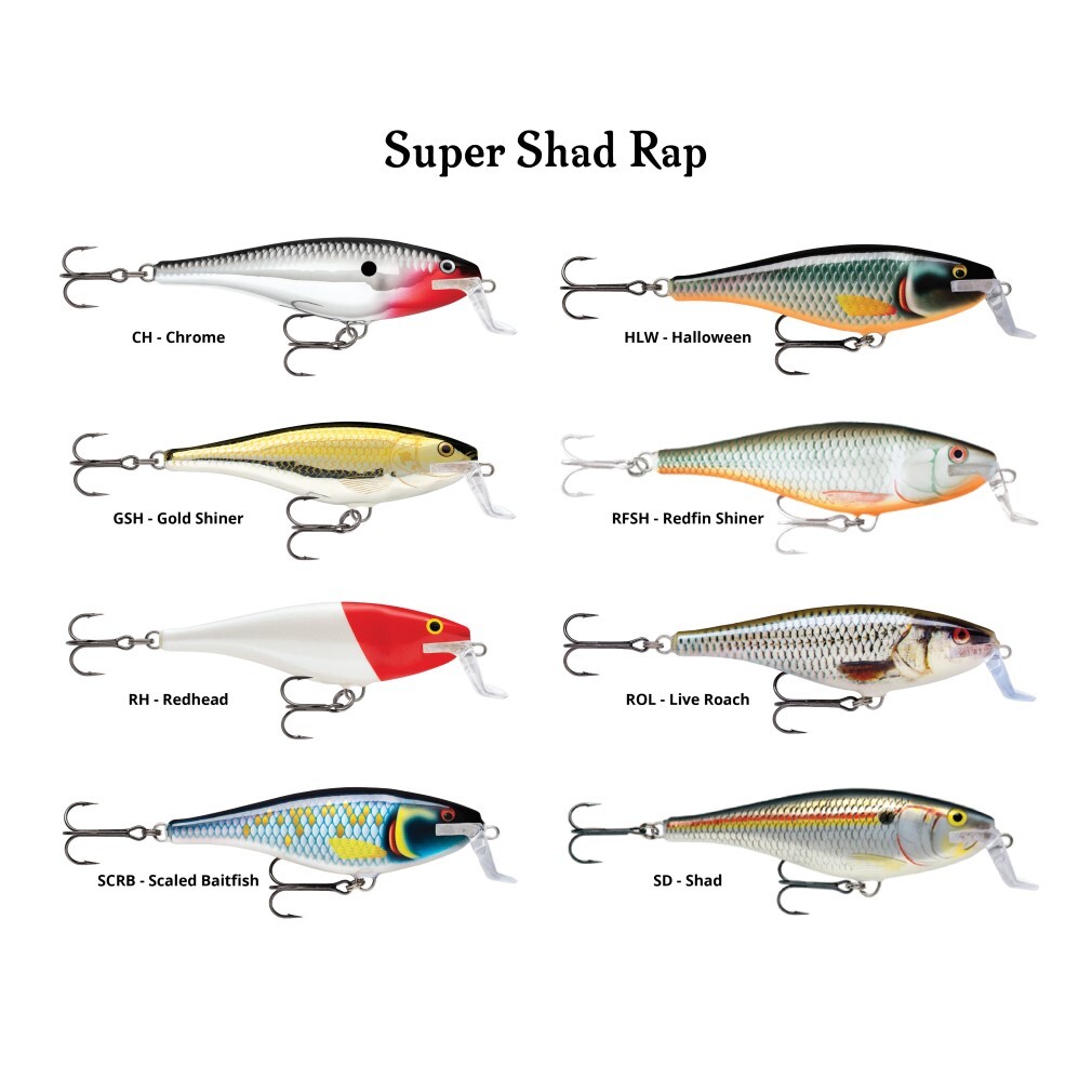 Rapala super discount shad rap