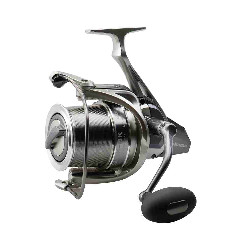 Spin or Reels