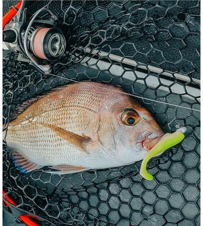 Lures & Plastics