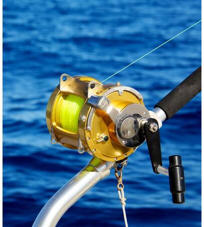 Reels