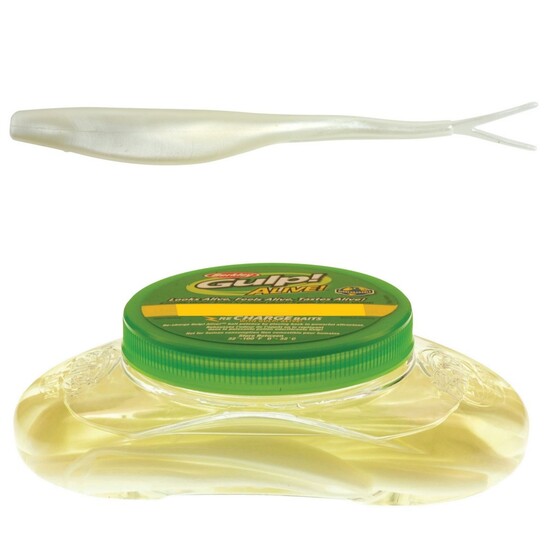Tub of Berkley Gulp! Alive! 7 Inch Jerk Shad Recharge Baits - Pearl White