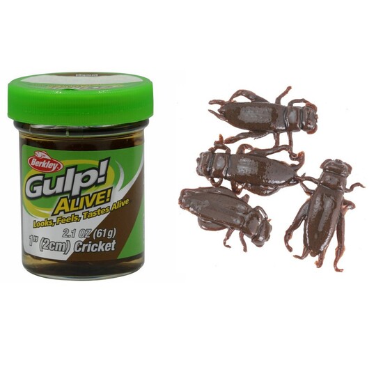 61g Tub of Berkley Gulp! Alive! 1 Inch Brown Crickets Soft Bait Fishing Lures