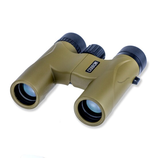 Carson HW-025 Stinger 10x25mm Compact and Lightweight Prism Binoculars