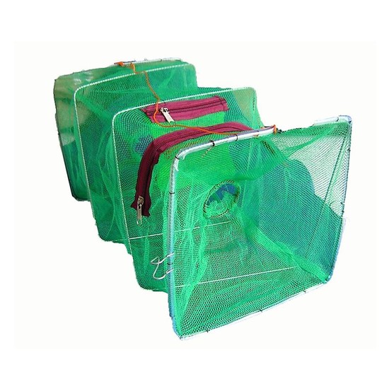 Seahorse Collapsible Shrimp/Bait Trap With 2 Inch Entry Rings