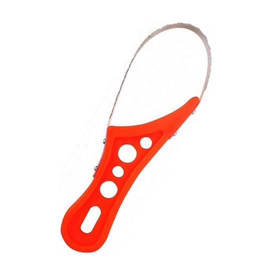 Berkley Fish Scaler - Stainless Steel Scaling Edge & Tough Nylon Body