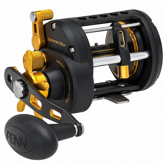 PENN Fathom 25LW Level Wind Reel Gen 1 - BRAND NEW IN BOX - FTH25LW Overhead
