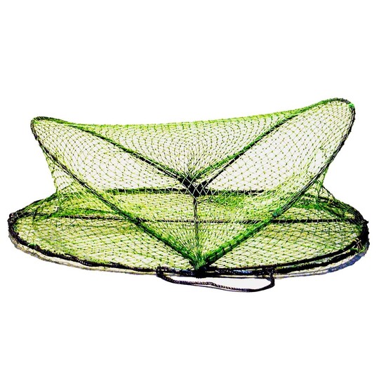 Seahorse Green Opera House Trap with Mesh Entrance Holes (No Rings)