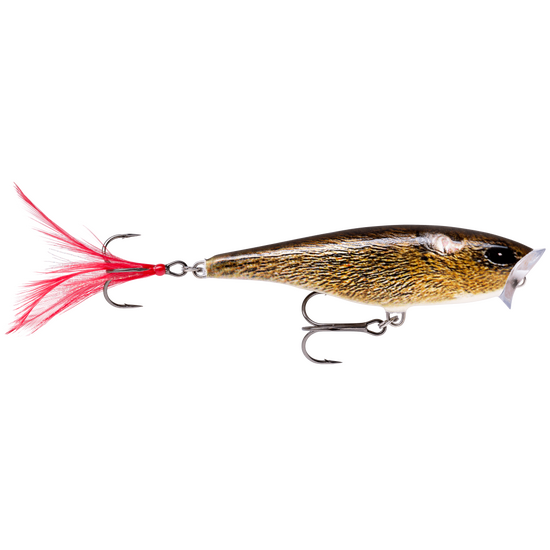 7cm Rapala Skitter Pop Topwater Popper Fishing Lure - Live Field Mouse