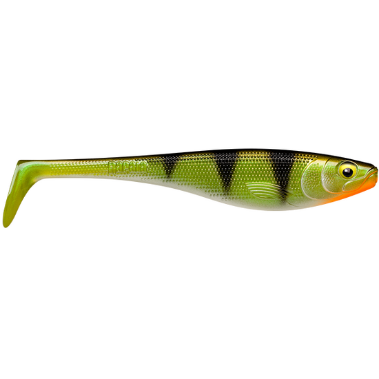 Rapala Soft Peto 18cm Paddle Tail Shad Lure - Live Perch