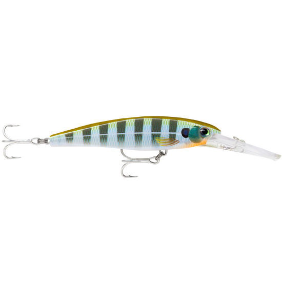 11cm Rapala Saltwater X-Rap Deep Hardbody Fishing Lure Colour - Bluegill
