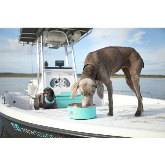 Teal Toadfish Outfitters Non-Tipping Stainless Steel Dog Bowl