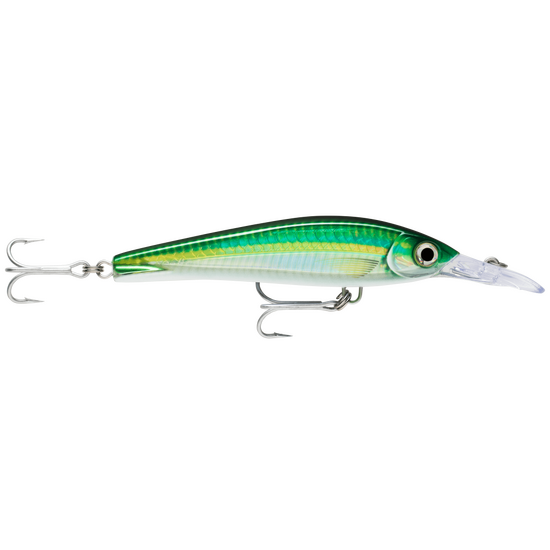 16cm Rapala X-Rap Magnum Xtreme Shallow Diving Trolling Fishing Lure - HD Bigeye Scad