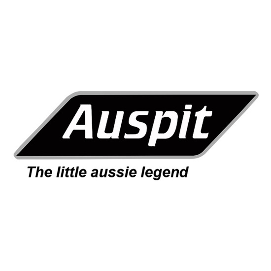 Auspit
